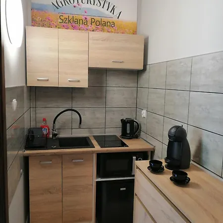 Agroturystyka Szklana Polana Huta Szklana  Exterior photo