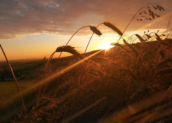 Agroturystyka Szklana Polana