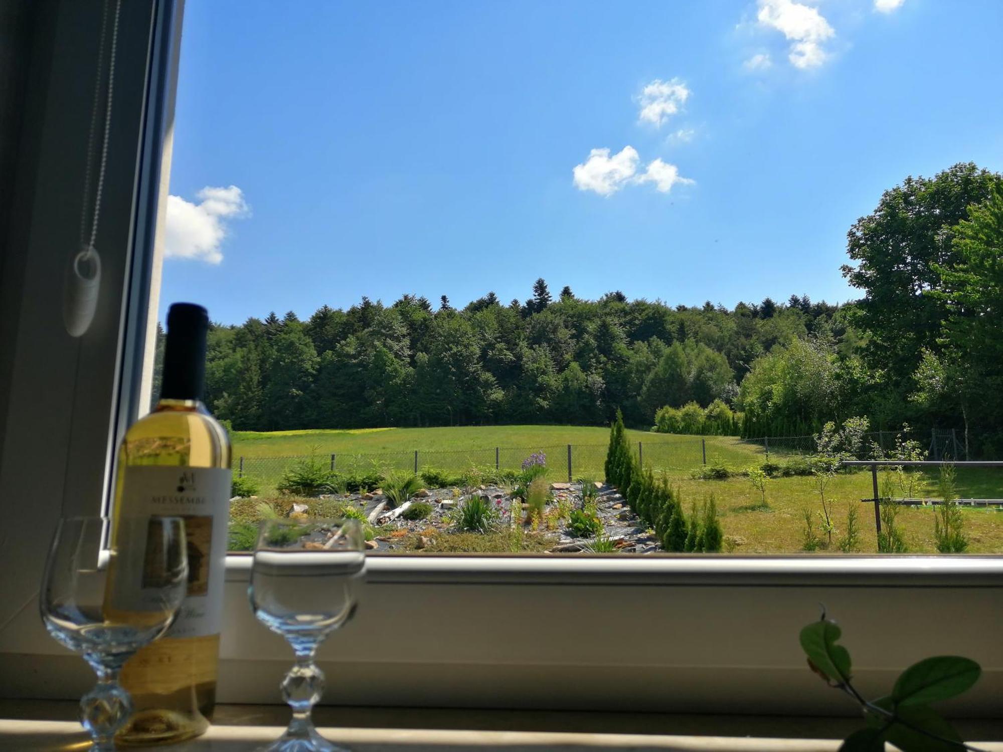 Szklana Polana Apartmán Huta Szklana (Kielce)